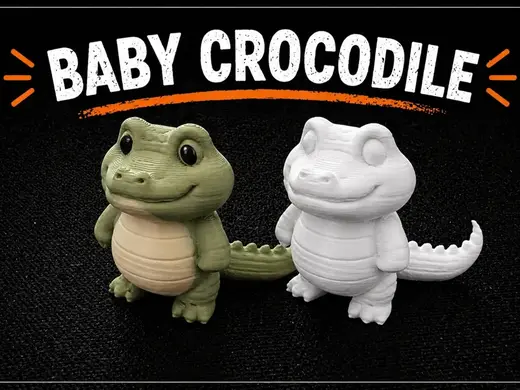 Baby Crocodile, Cute Minimal Gator