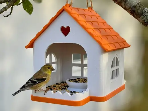 Heart Haven - Charming 2-Part Birdhouse & Feeder