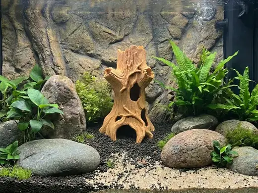 Aquarium Terrarium Natural Log Cave Hideout