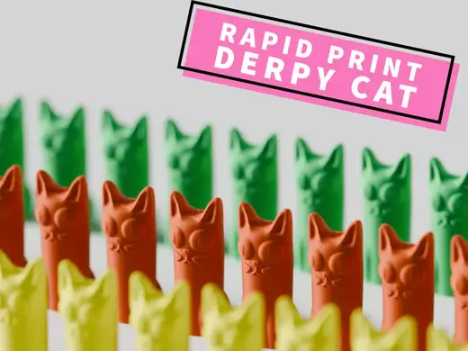 Mini Cat. Derpy Cat rapid print for giveouts