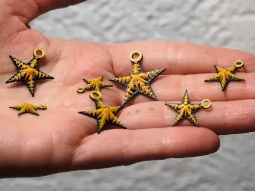 Star Pendant / Earrings