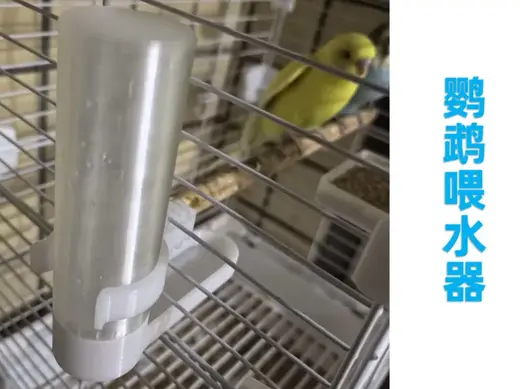 鹦鹉喂水器,自动喂水器,小鸟饮水器