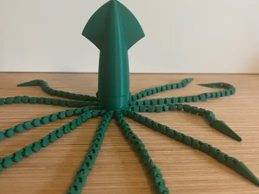 Felxi Giant Squid