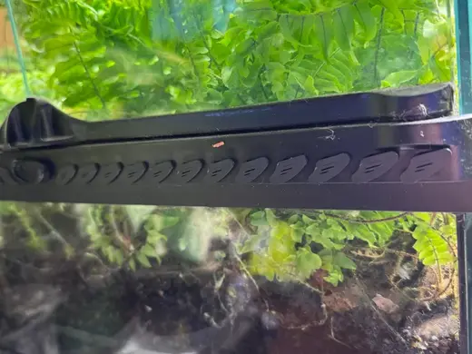 Exo Terra Enclosure Vent Covers