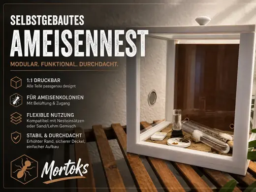 Selbstgebautes Ameisennest
