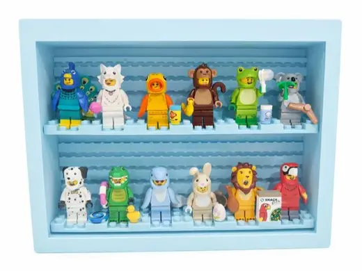 Enclosed minifig display case