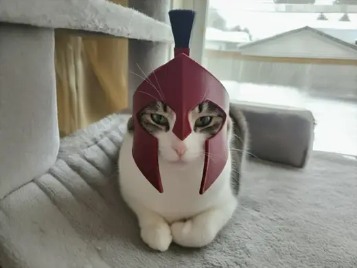 The Meow-tan Spartan Helmet for Cats