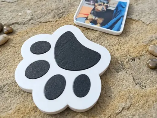 Paw Photo Keychain — Carry Your Pet Everywhere