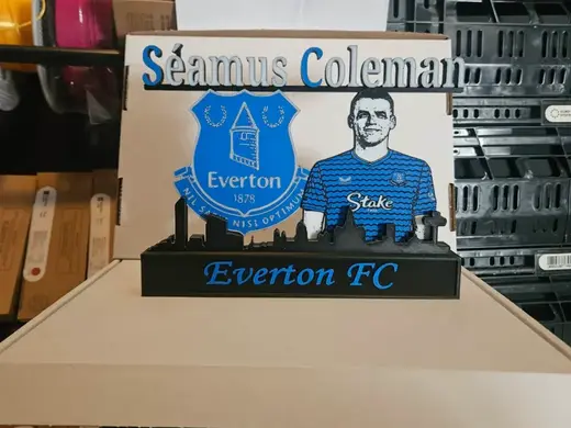 Premier League - Everton FC Seamus Coleman Display