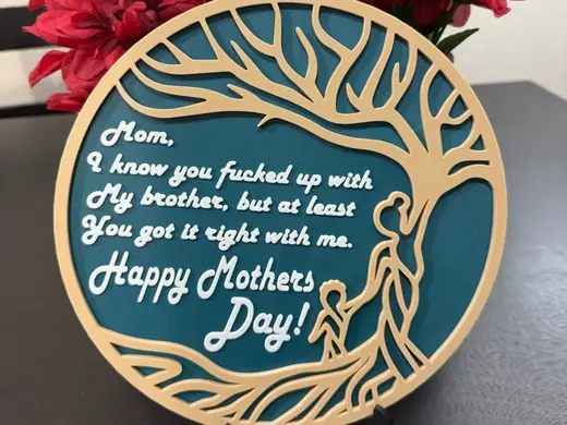Brutally Honest Mother's Day Plaque