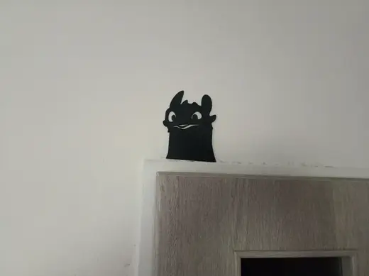 Night Fury Toothless door decor