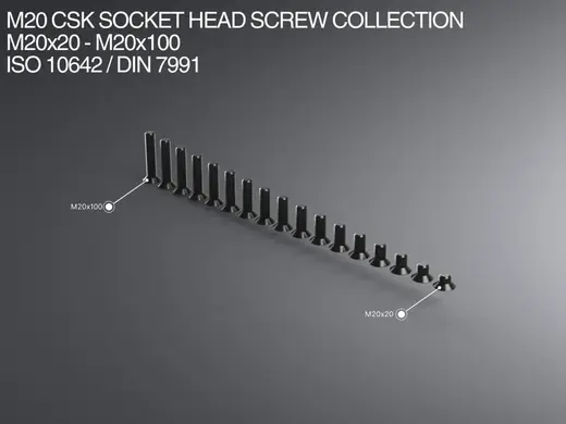 M20 CSK Socket Head Screw Collection M20x20-x100