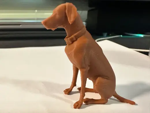 Vizsla Dog Looking out Window