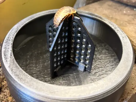 Reptile Bug Feeder Tower for Dubia Roaches
