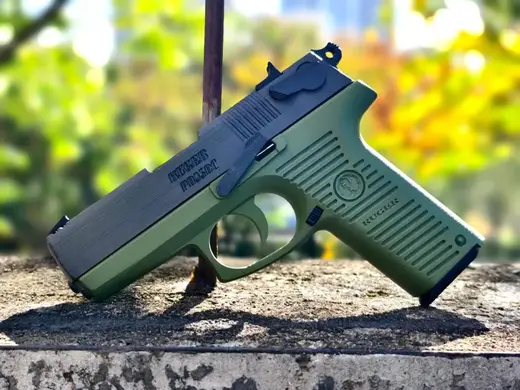斯特姆·鲁格Ruger P95 手枪玩具模型(Cannot move or launch)