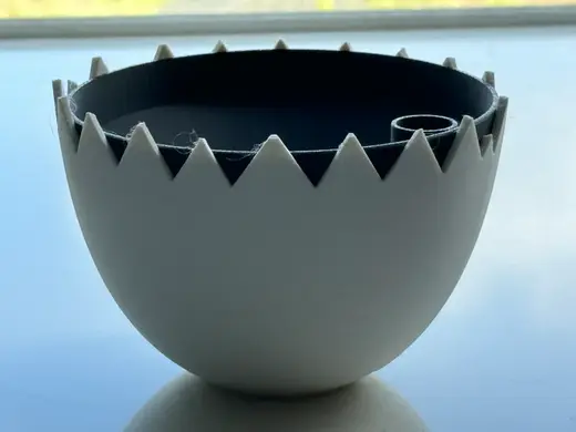 Hatched Egg Self-Watering Plant Pot