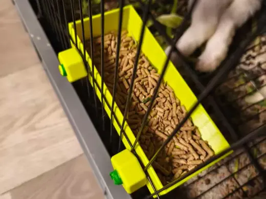 动物笼子投喂食盒