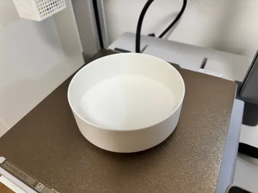 Dog Bowl Modern Clear Design