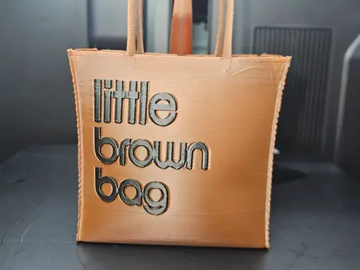 Little Brown Bag