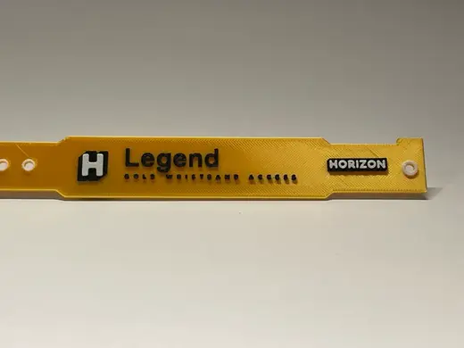 Forza Horizon 6 - "Legend" Gold Wristband
