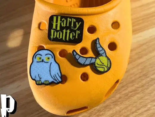 Harry Potter Shoe Charms Golden Snitch and Hedwig