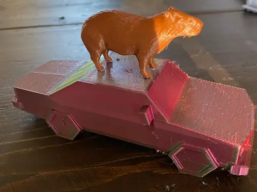 Capybara on a car