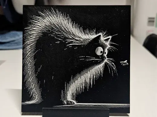 Another fluffy black cat