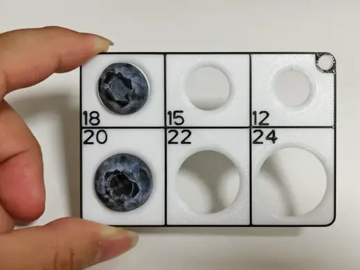 蓝莓大小测量卡