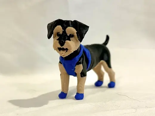 Yorkie dog (short hair)