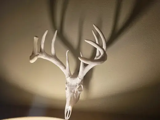 Jordan Buck 2.0 - Deer Skull