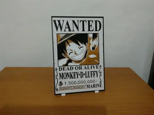 Luffy Wanted one piece