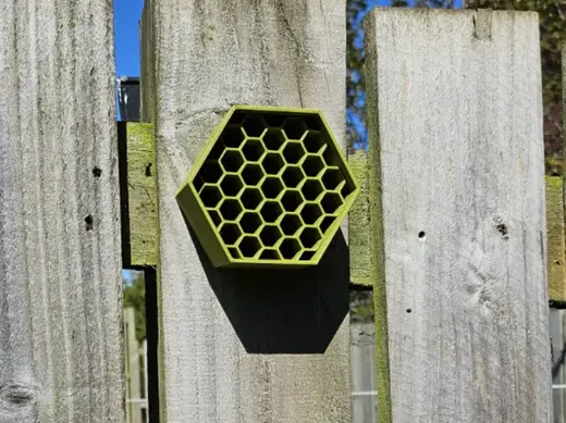 Bee Hotel