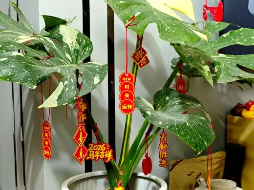 2026年春节新年装饰小挂饰集合23合1 第二十款式