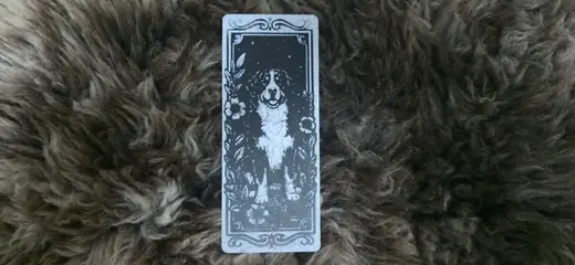 Bernese Mountain Dog Floral Bookmark