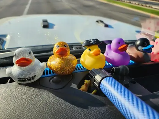Ducks in a Row Jeep Mount