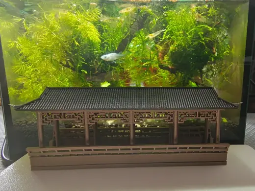 风雨走廊(国风)