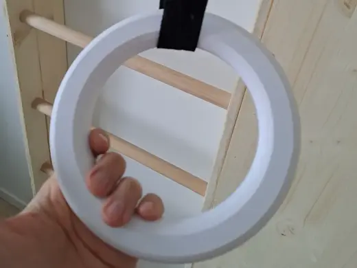 Gymnastics Ring