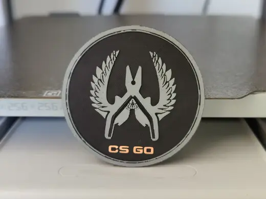 Counter Strike CS GO Elite Guardian pin