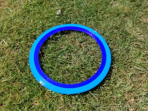 Frisbee/Flying Disc