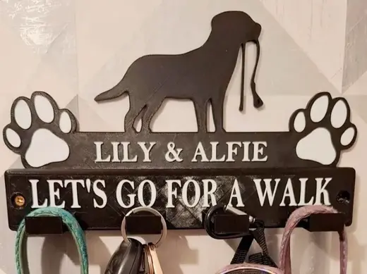 Let's go for a walk lead holder you can custom it