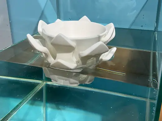 Floating amphibious AeROMA lotus