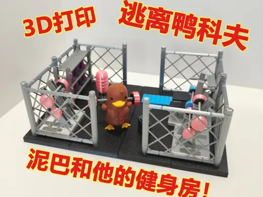 【二门】逃离鸭科夫 泥巴的健身房