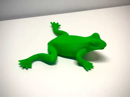 Frog and spider