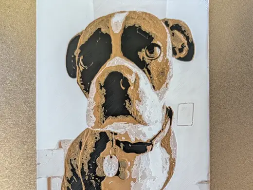 Boston Terrier Portrait