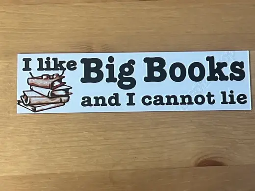 i like big books and i cannot lie bookmark