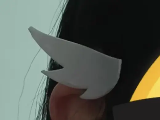 广陵王鸢羽
