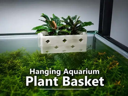Hanging Aquarium Plant Basket