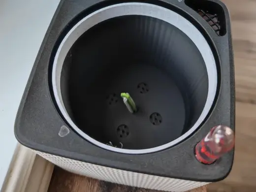 Lechuza Canto 14 Inner Pot With Keyhole