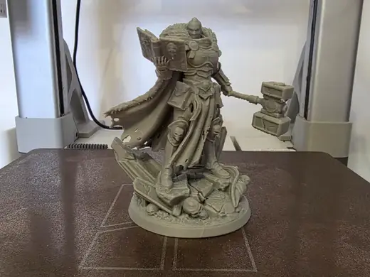 Lord Inquisitor - Protector of the Faith
