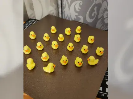 Mini Duck